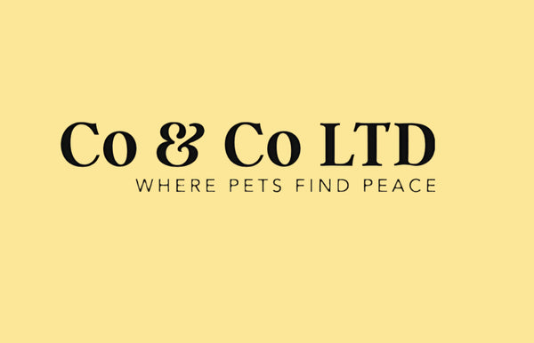 Co & Co Ltd